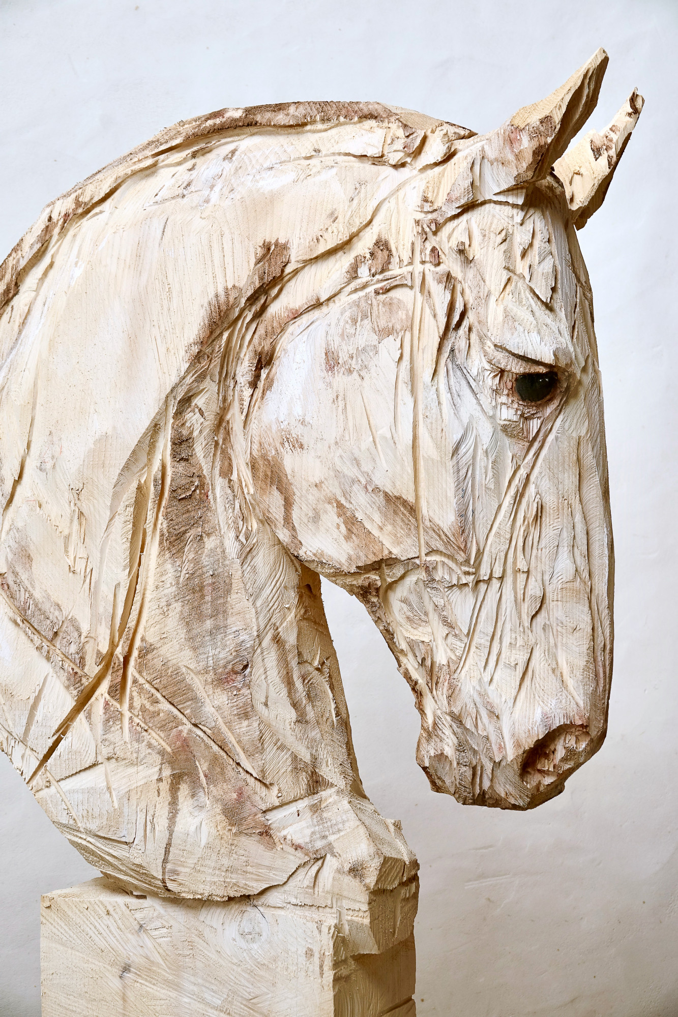 Untitled - Horse 1 (2)