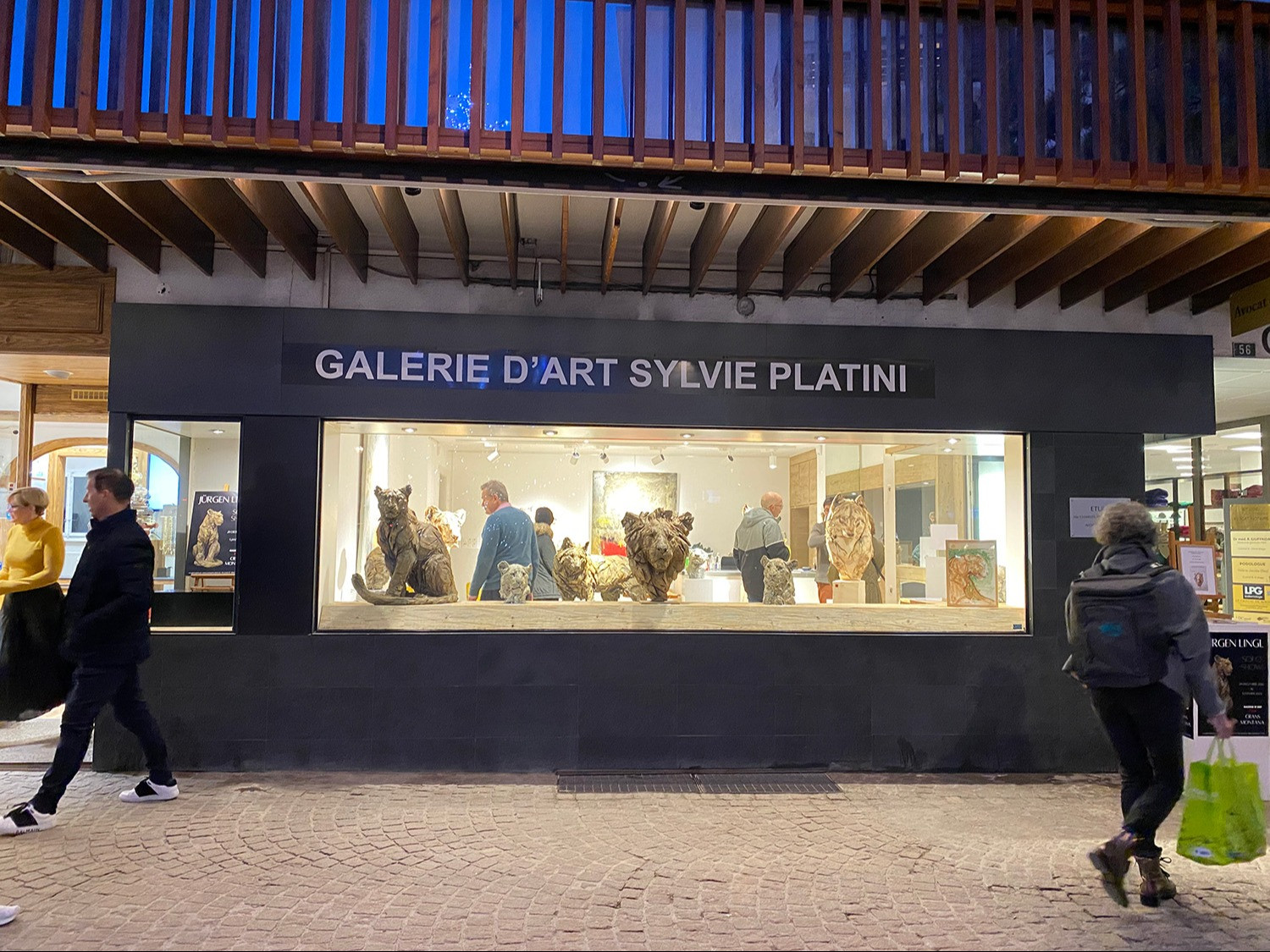 Galerie Platini Solo December 2022 (1)