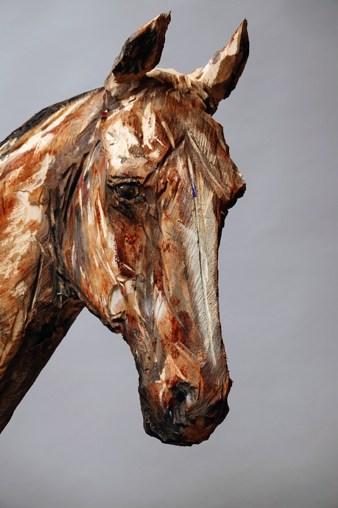 Horse Head 2019