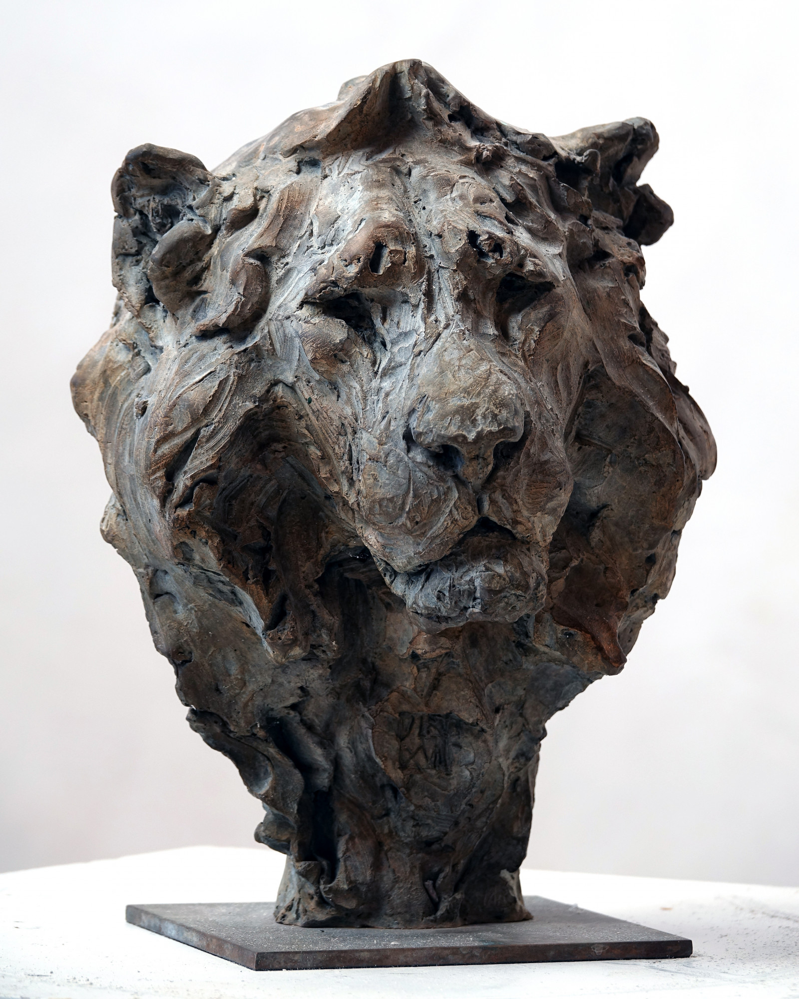 Bust of Lion