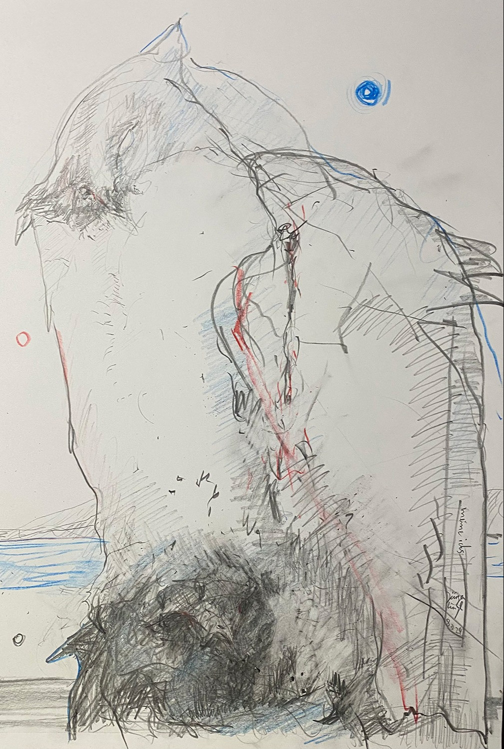 Untitled Drawing 2024 (20)