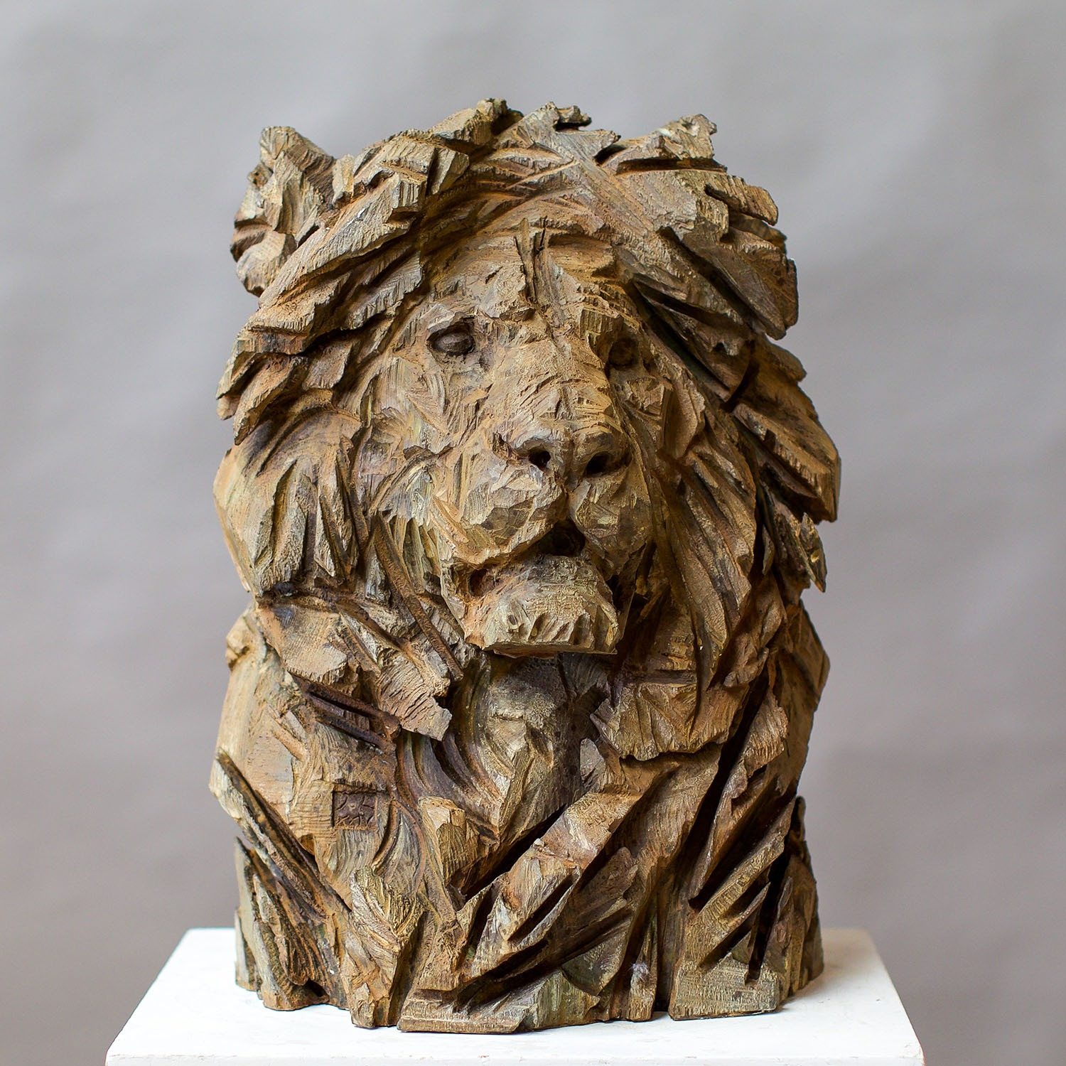 Great Old Lion - 2024 (1)