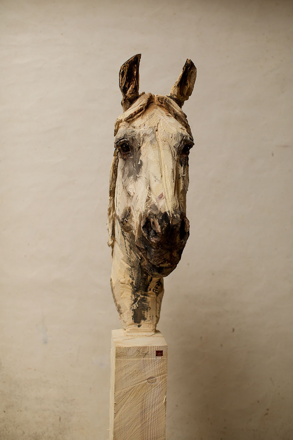 Lusitano - 2025 (2)