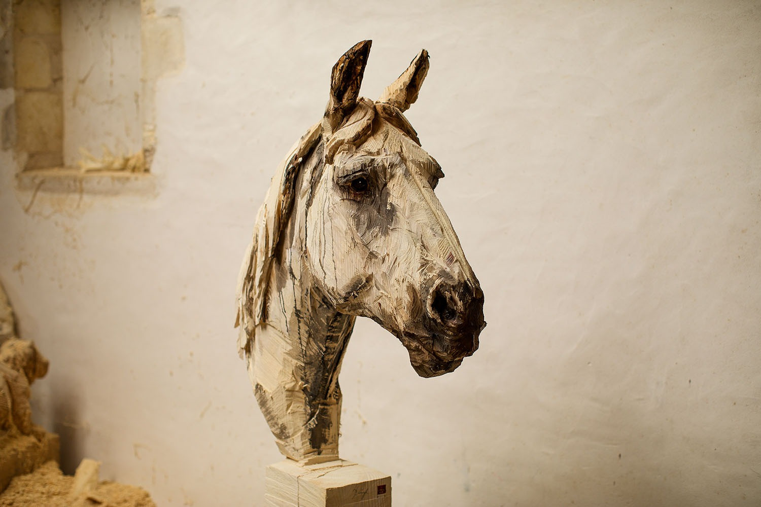 Lusitano - 2025 (1)
