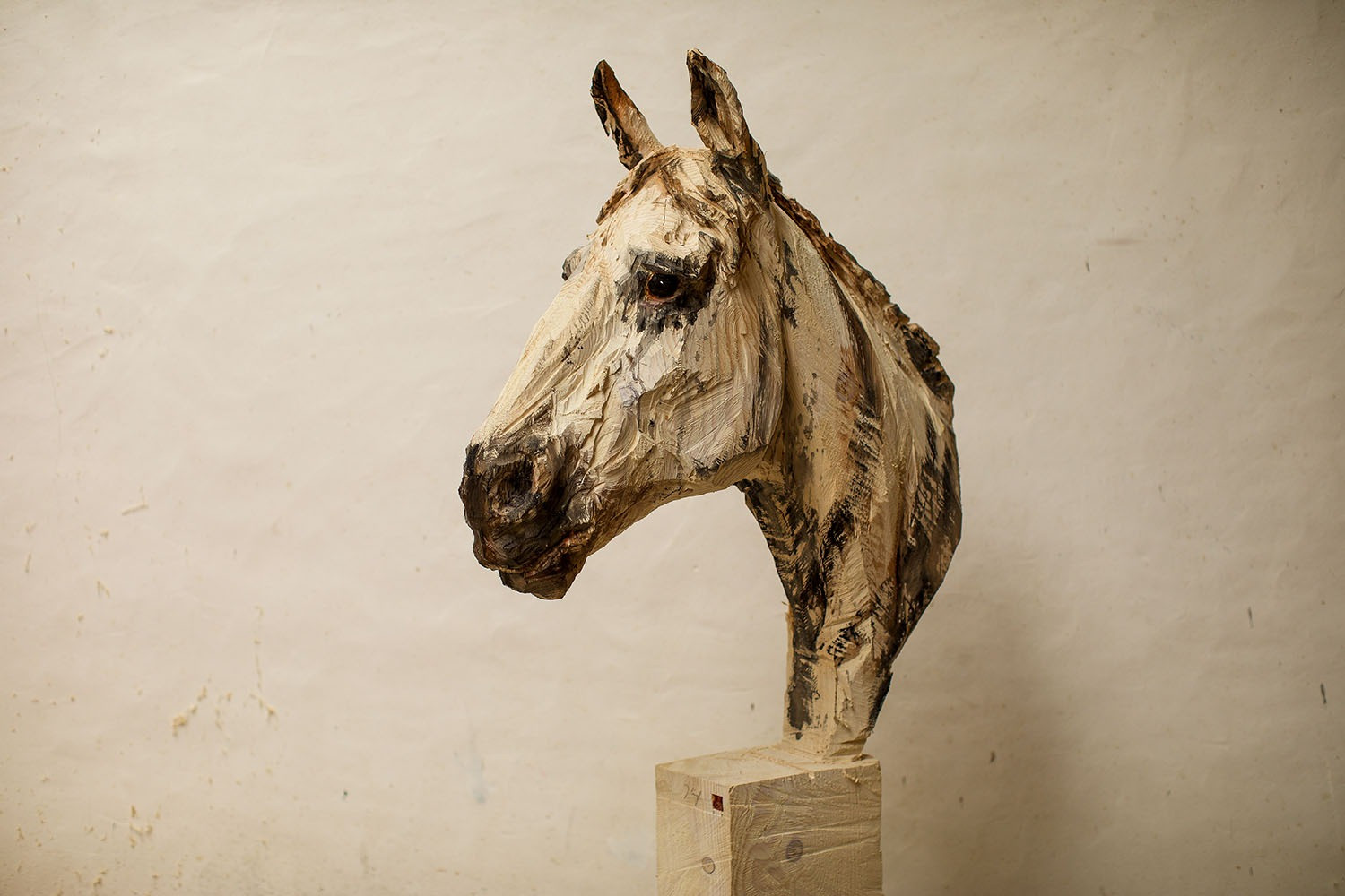 Lusitano - 2025 (3)