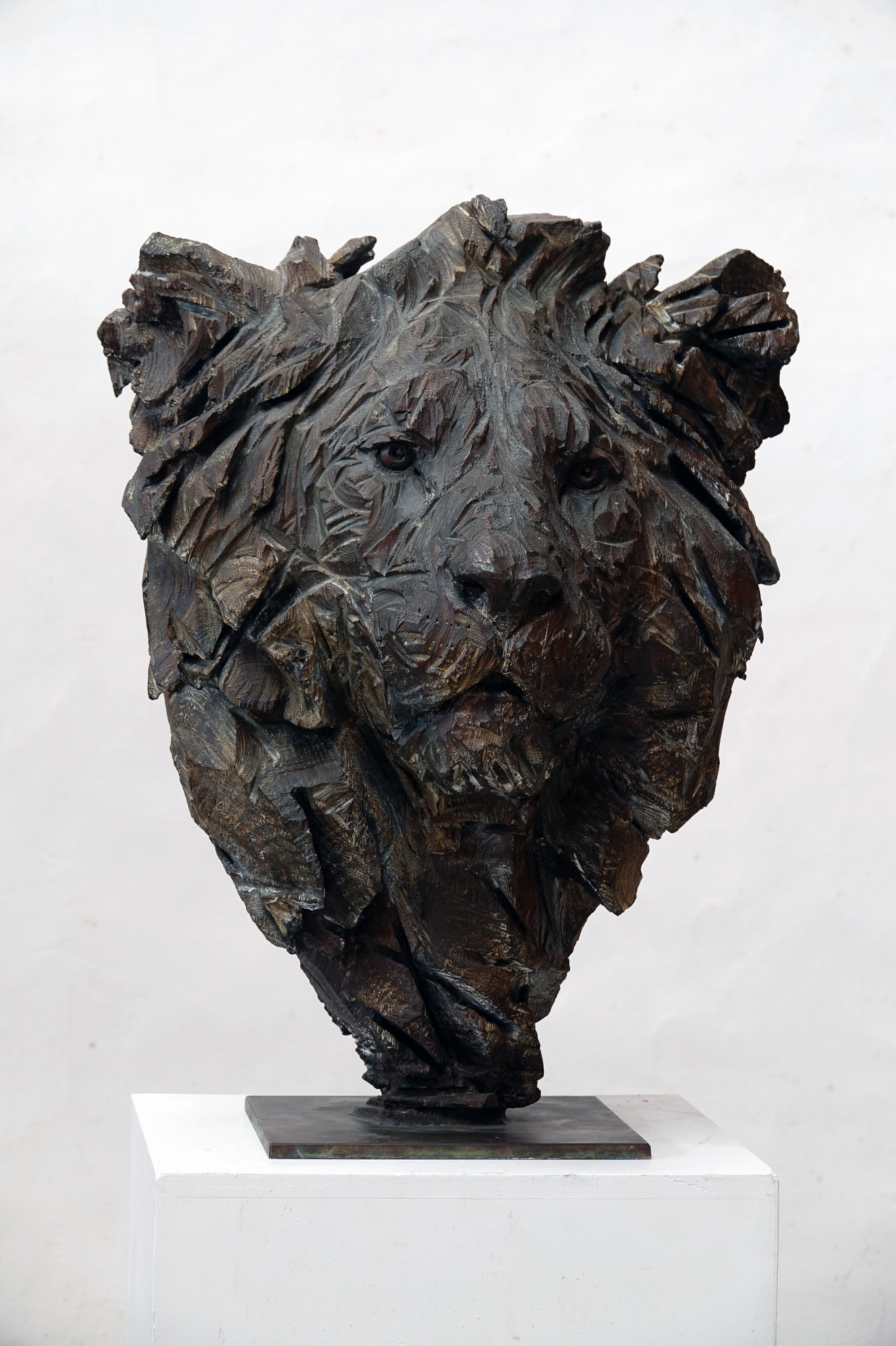 Untitled - Lion 1