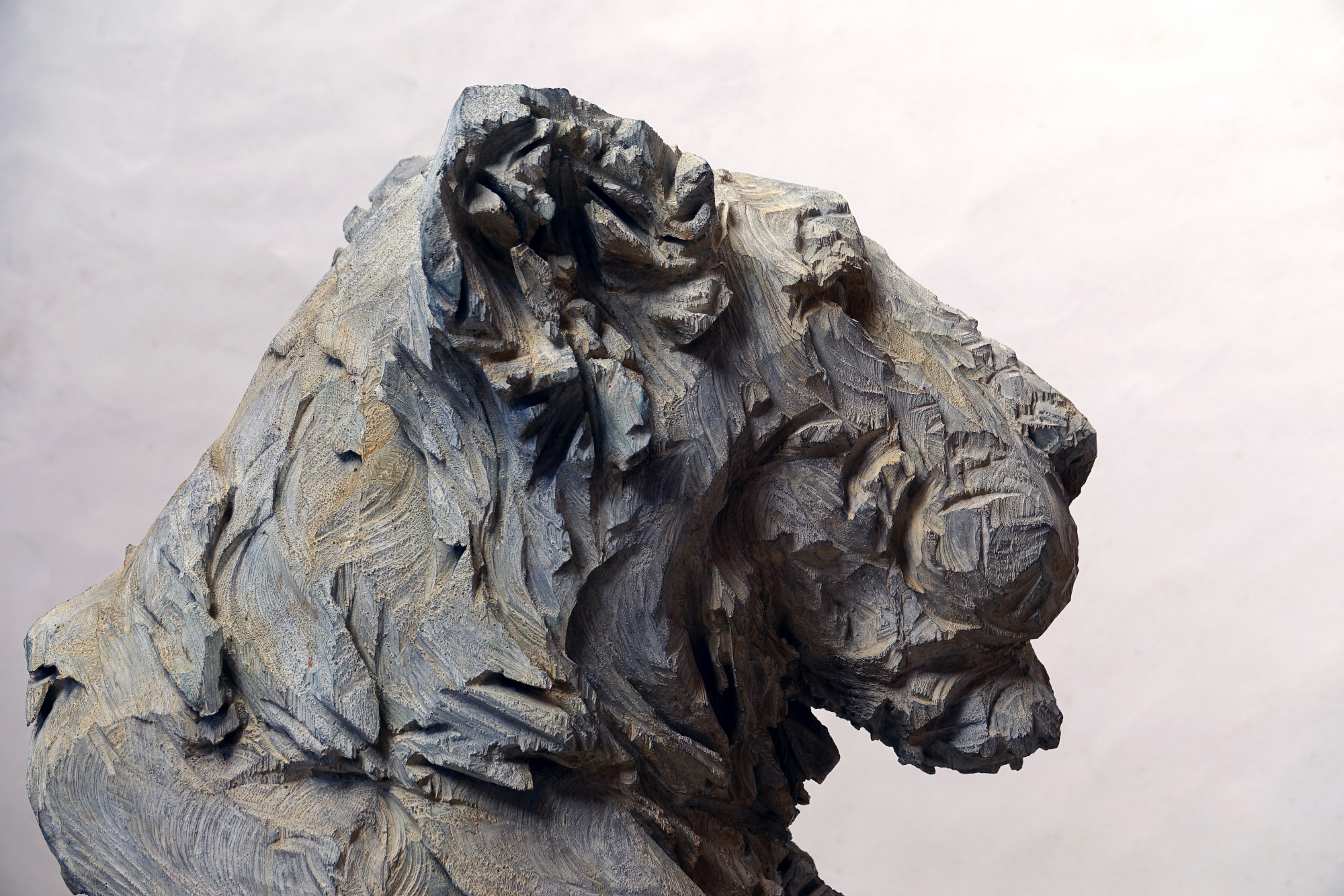 Untitled - Lion 2 (2)