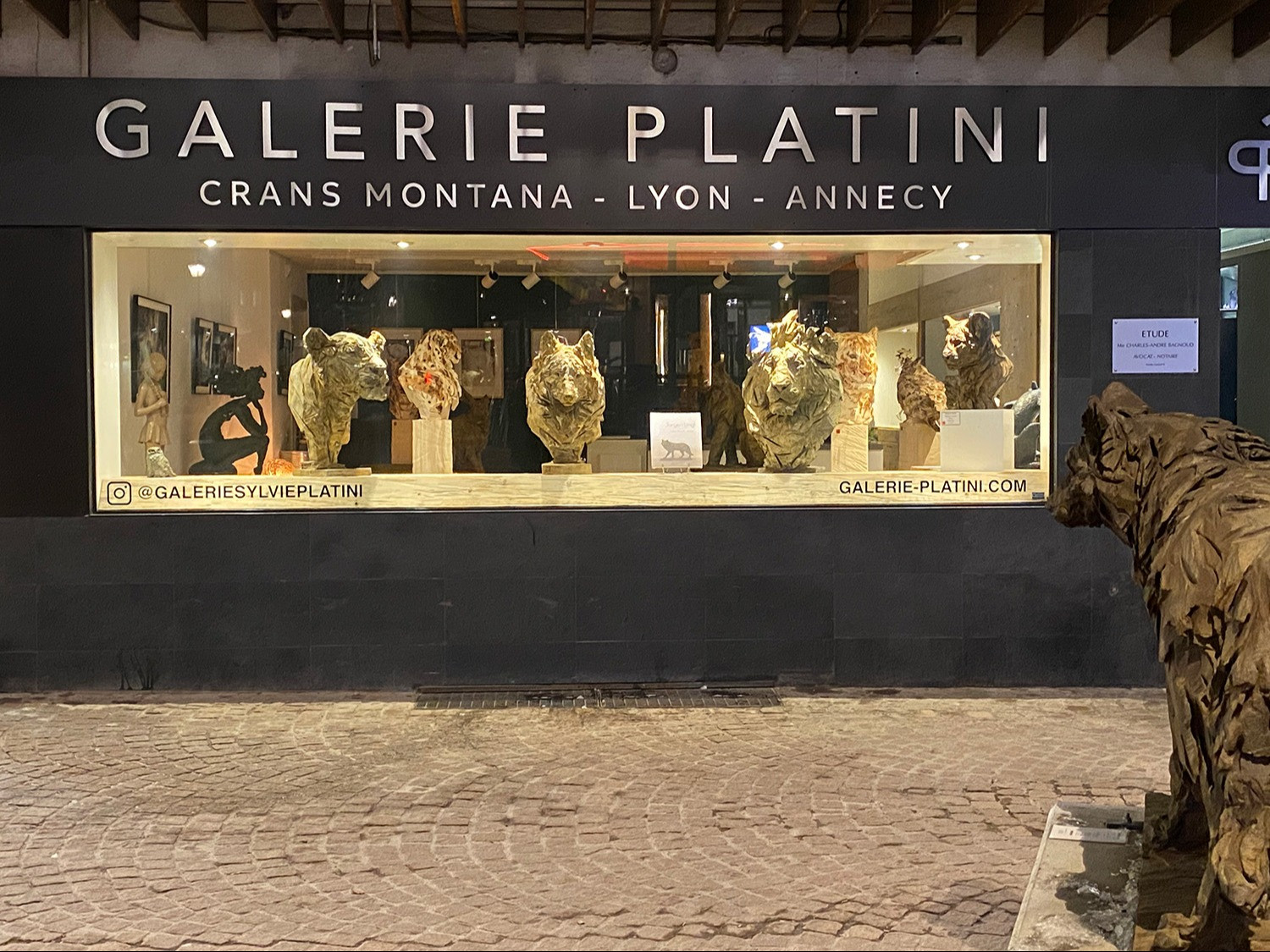 Galerie Platini February 2024 (1)