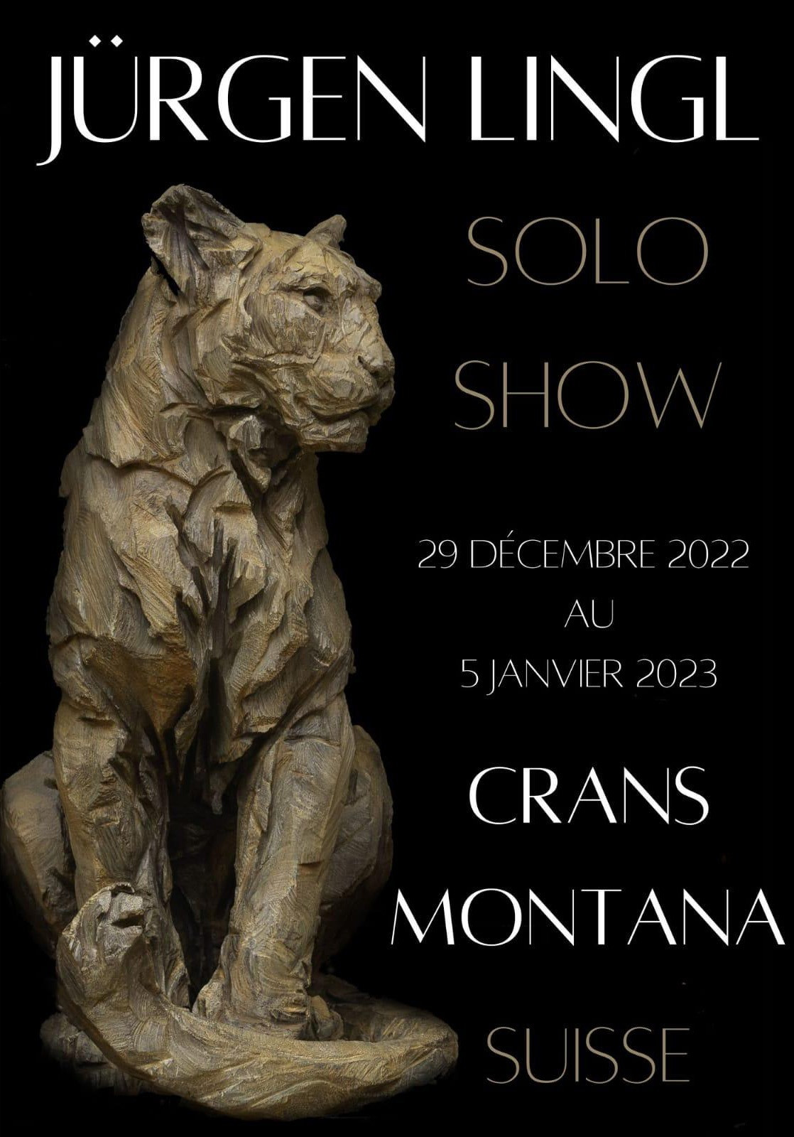 Galerie Platini Solo December 2022 (2)
